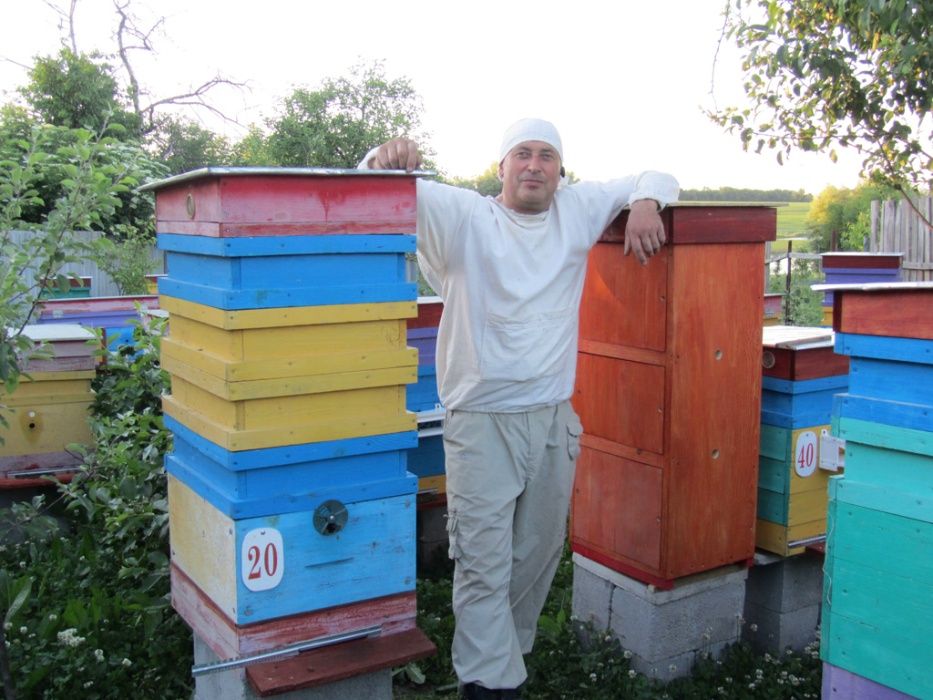 Бджолопакети, Пчелопакеты 3+1, 4+0
