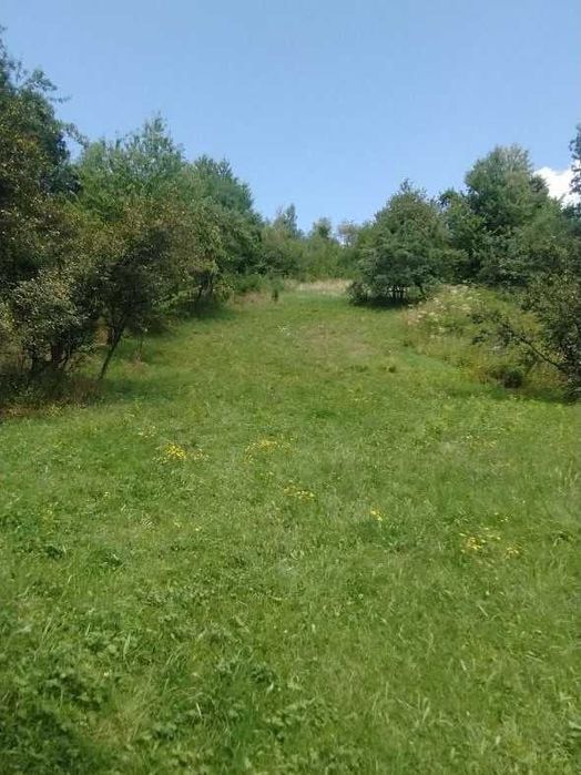 Будинок з шикарним краєвидом, з ділянкою 12с