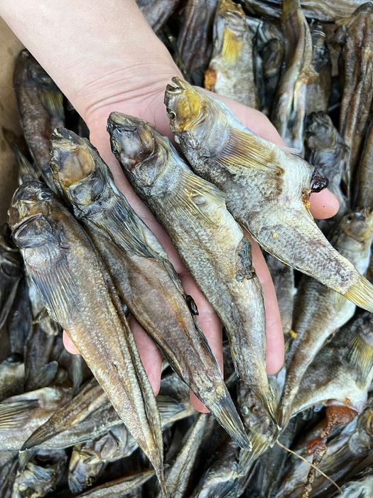 Бычок  вяленый  икрянчик.