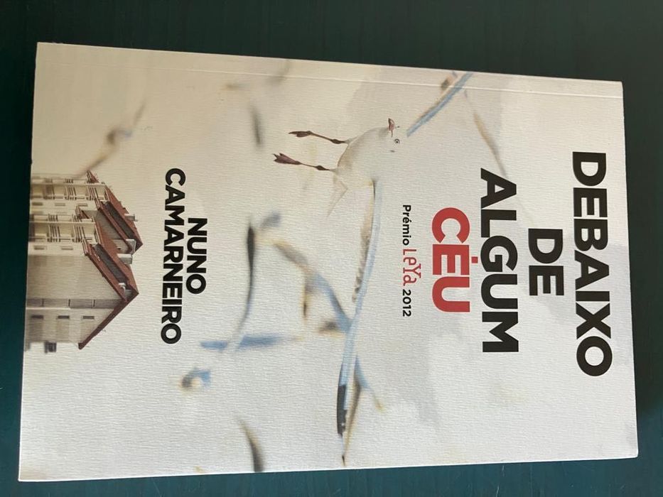 Debaixo de Algum Céu, de Nuno Camarneiro