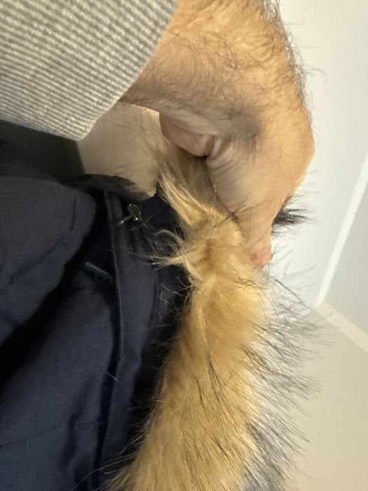 Parka Hi Tech M damska z kapturem
