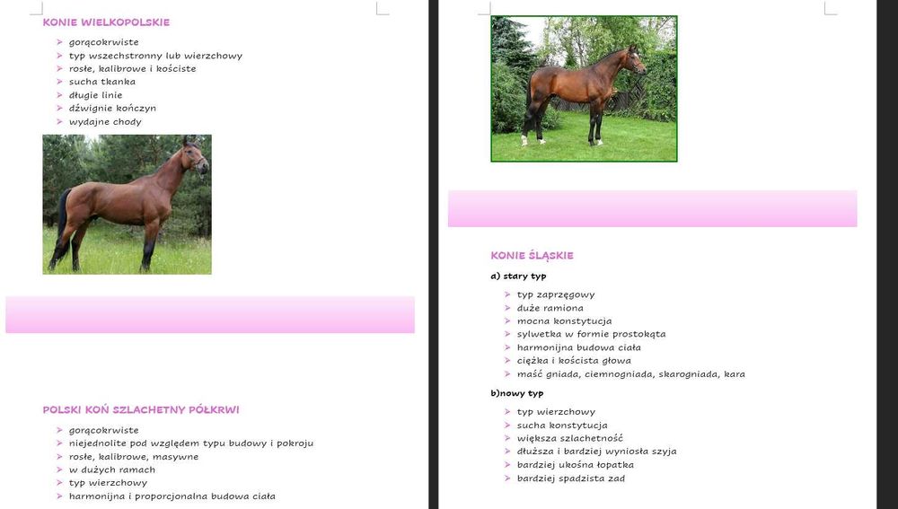 PAKIET notatek technik weterynarii do Rol.11, ok.823str + Gratis