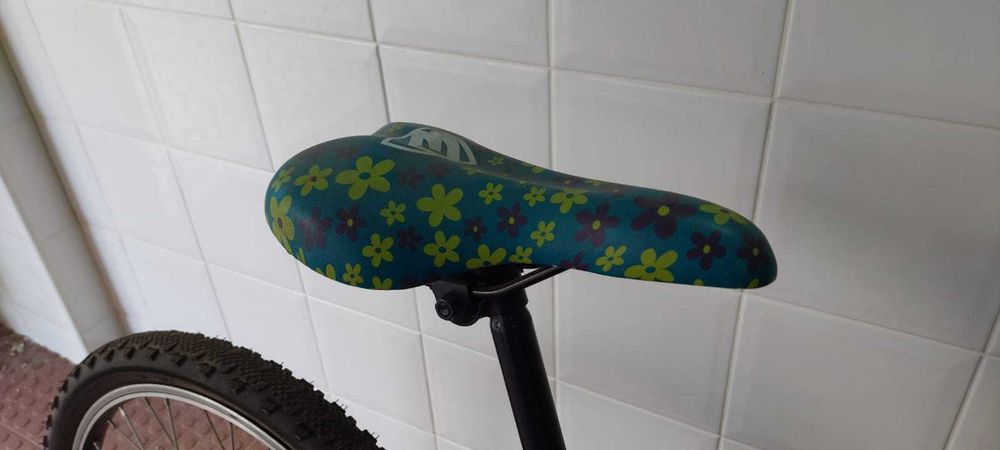 Bicicleta Júnior BERG CHARM 243