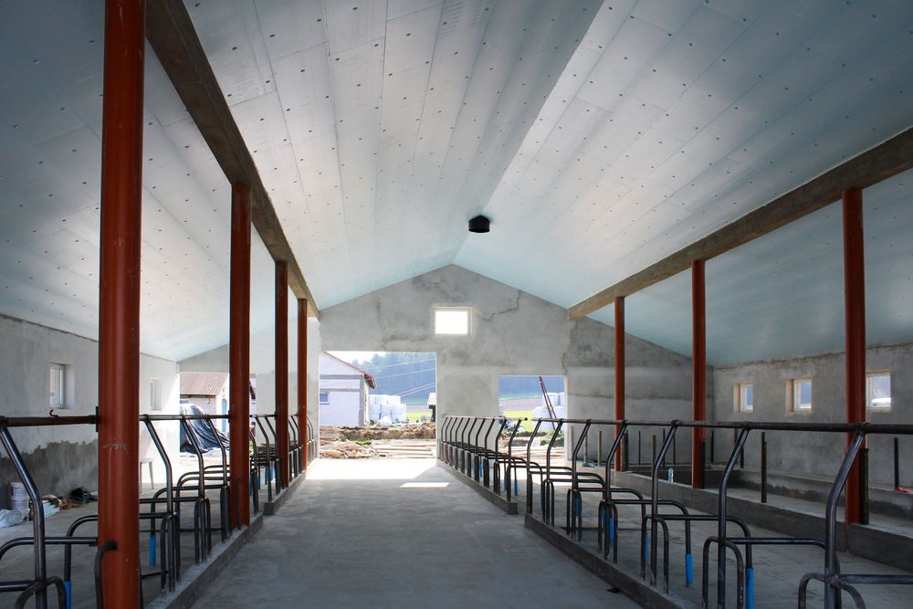 Termoizolacja Dachu Stropu Podsufitka Podbitka Płyta Styrodur XPS AGRO