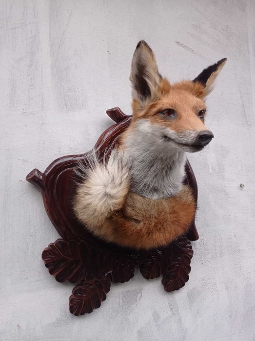 medalion lisa trofea lowiectwo myslistwo prezent