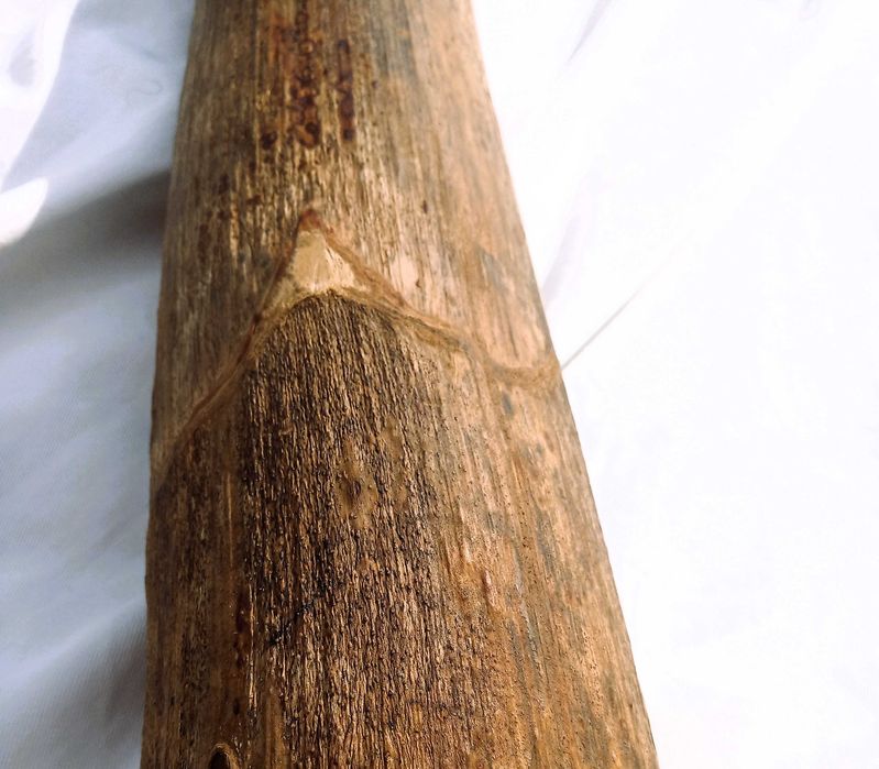 Didgeridoo inspirador á sua espera.