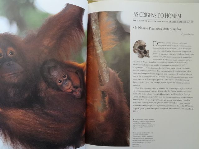 Enciclopédia Ilustrada da Humanidade