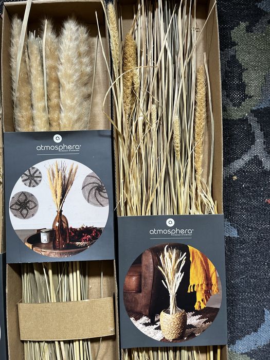 Decoração flores /plantas