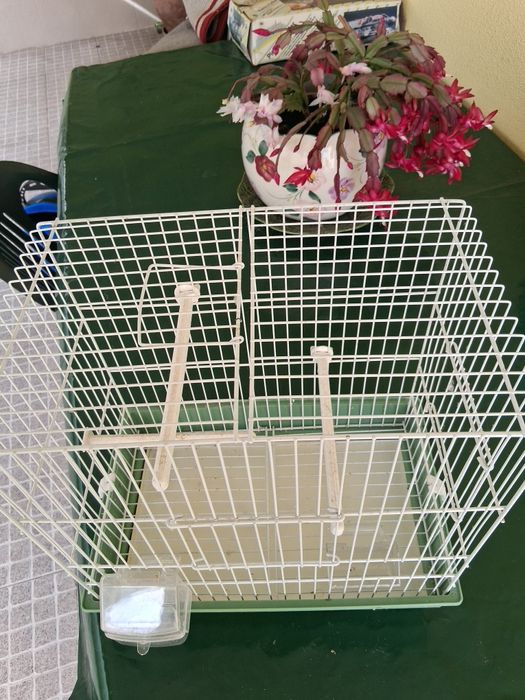 Gaiola para pássaros