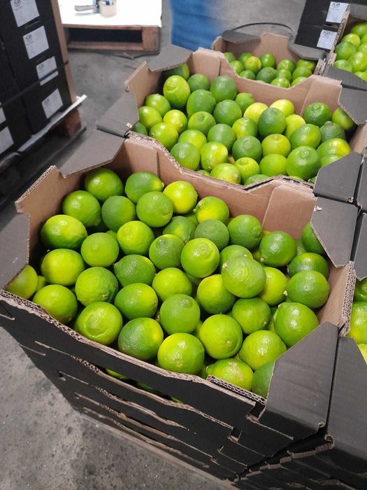 Limas (Fruta) kg
