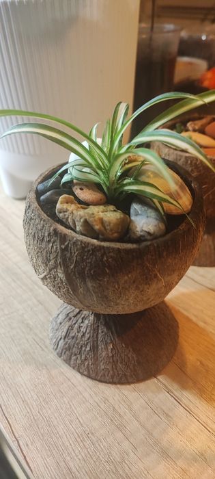 Квіткові композиції