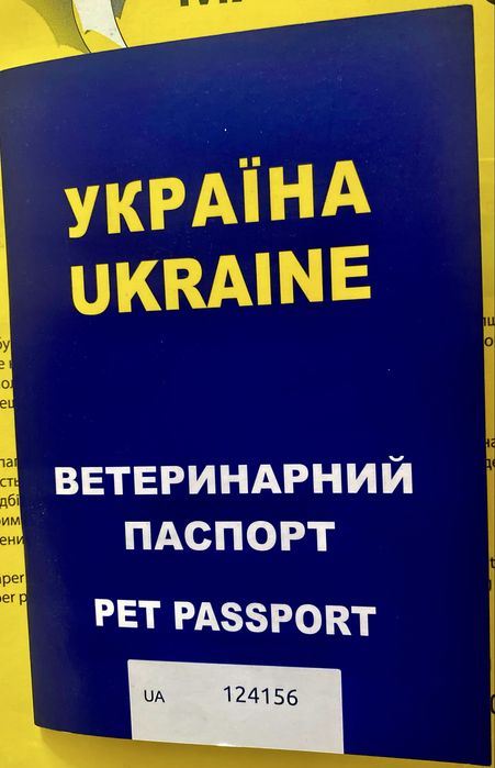 Джек рассел,дівчатка 2 місяці
