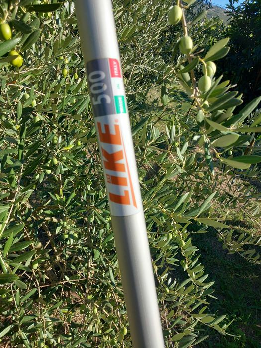 Varejador de azeitona a bateria telescópico (até 4m) ( Bateria não incluída)