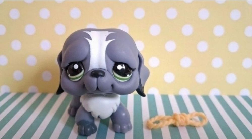 Littlest Pet Shop LPS unikatowy pies Bernardyn #1133