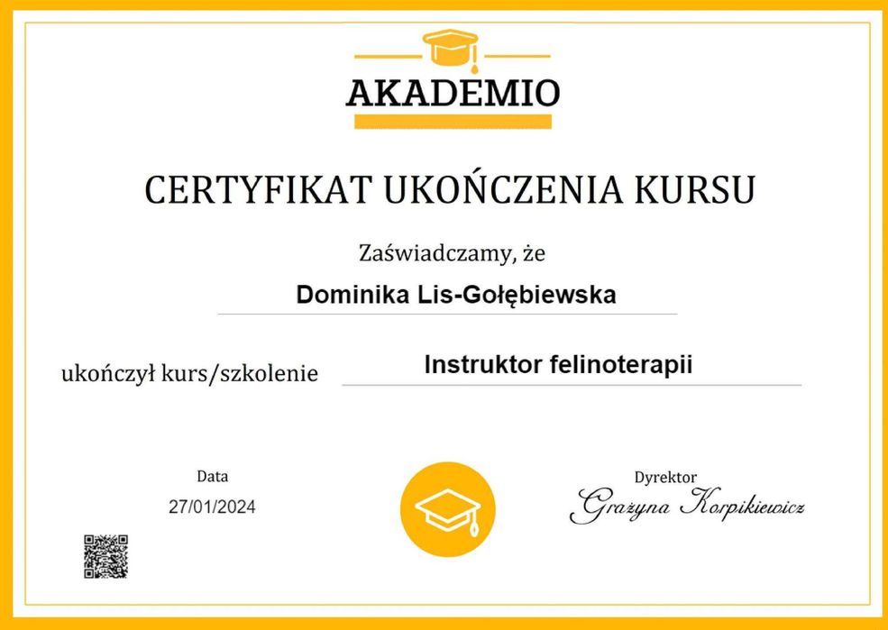 Kotka balijska doskonała dla alergika , do felinoterapii