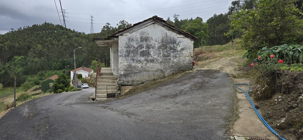 Quinta com 2 casas, tem 10 hectares de terreno