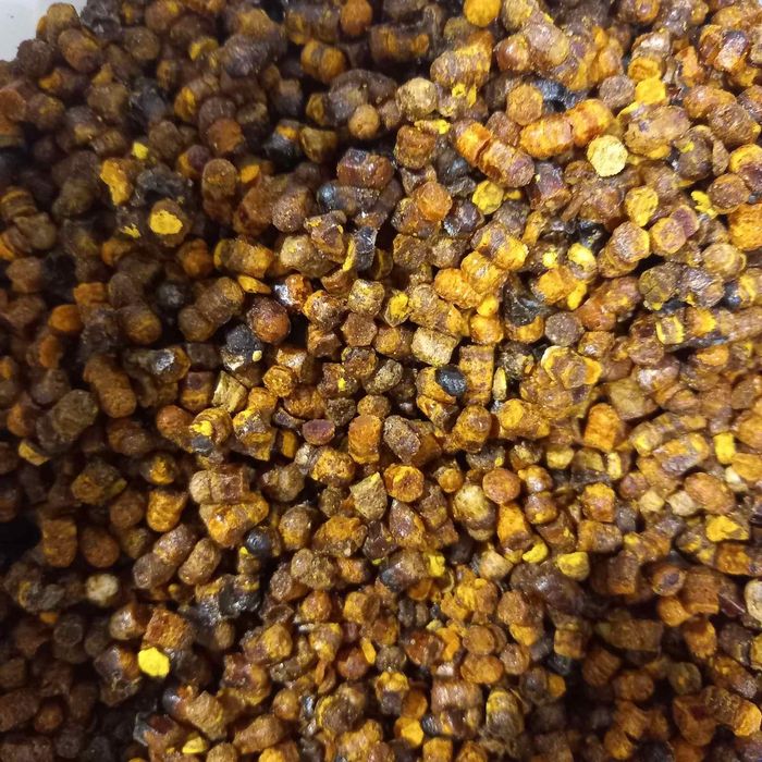 Перга натуральна з власної пасіки