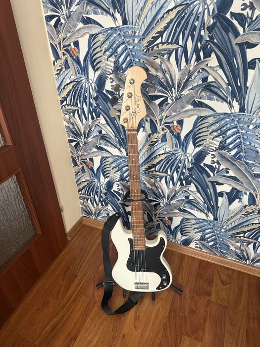Gitara basowa CARTER (ustawiona, struny ernie ball)