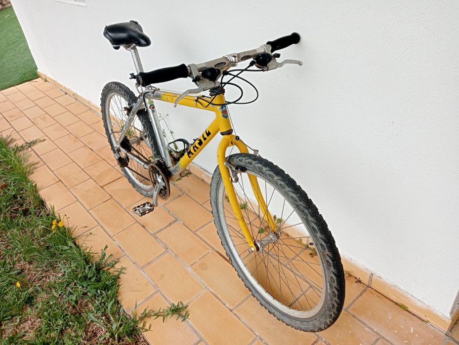 Vendo as duas bicicletas juntas, por 100.00 €.
