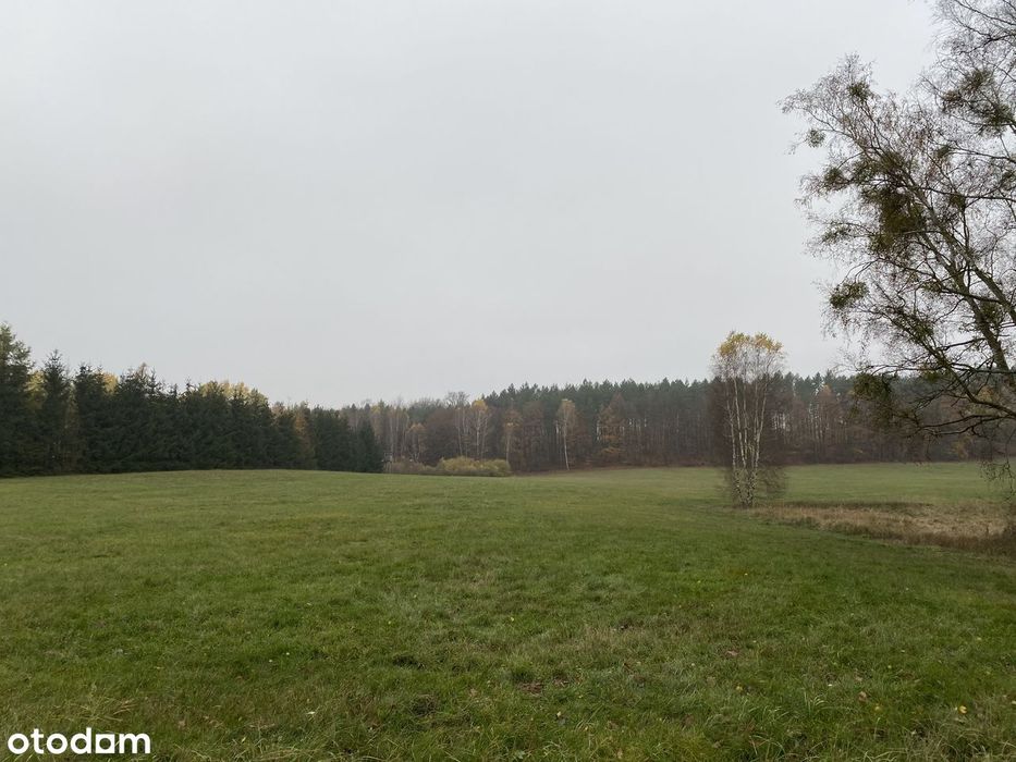 Działki budowlane w miejscowości Mosina gm. Witnica