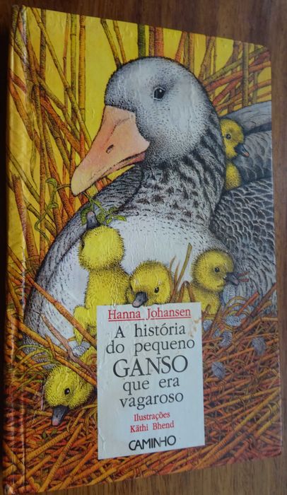 A História do Pequeno Ganso Que Era Vagaroso
