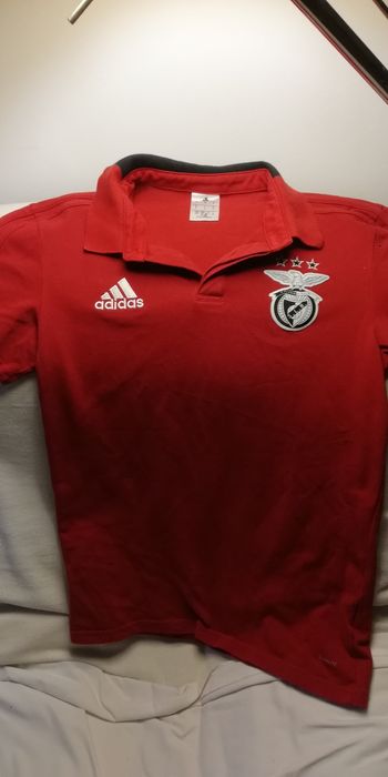 Polo do Benfica vermelho adidas