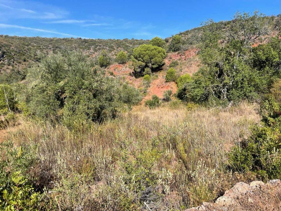 Terreno Rústico à Venda em Fonte da Benevola