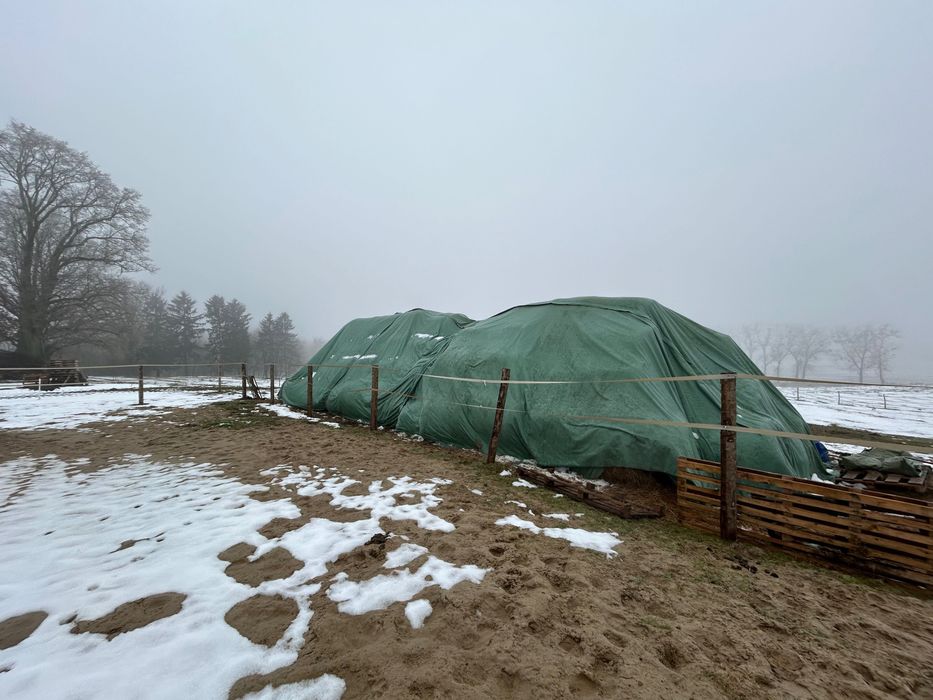 Sprzedam siano przykryte