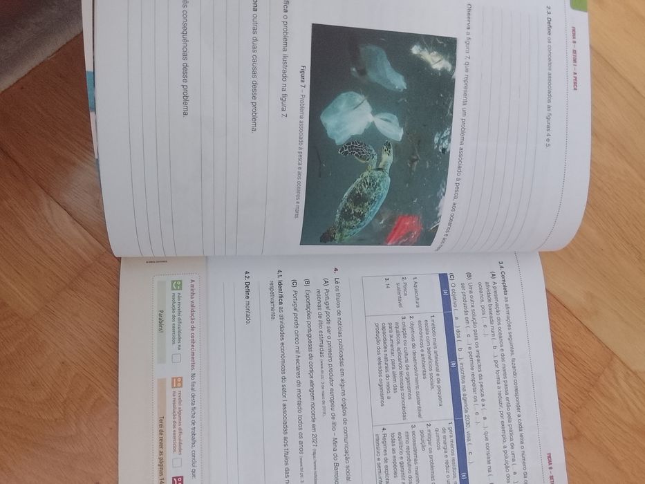 Livro de Fichas Geografia 8o ano