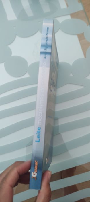 LEITE mecanismos de produção