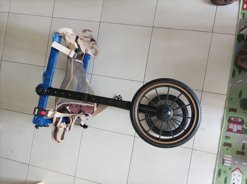 Cadeiras de rodas para animais de estimação de médio
e grande porte, carrinhos de rodas para cães grandes,
auxiliares de caminhada para reabilitação,