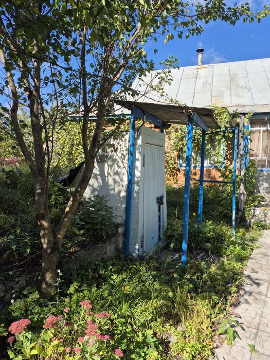 Великий будинок на березі Десни