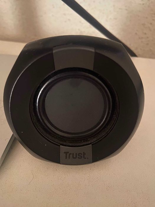 Monitor DELL 24" S2421HS (Ajustável) + Colunas de Secretária Trust