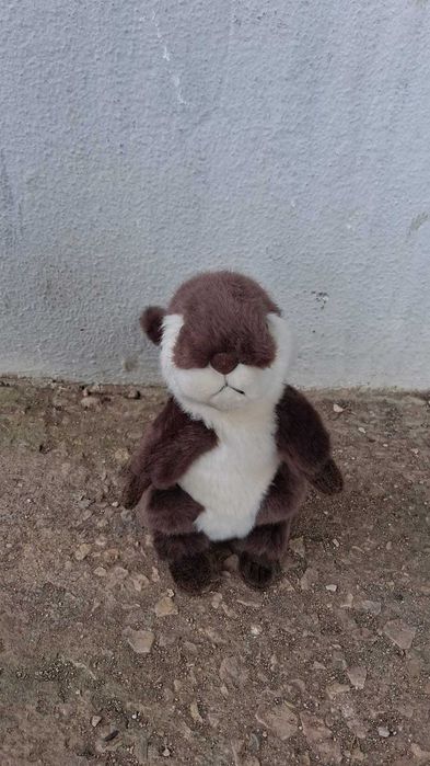 Peluches, bonecos, luvas de boxe e um búzio gigante