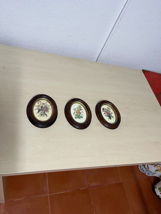 Vendo coleção Floral de 3 quadros de parede