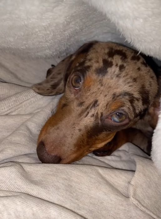 Продається мраморна дівчинка