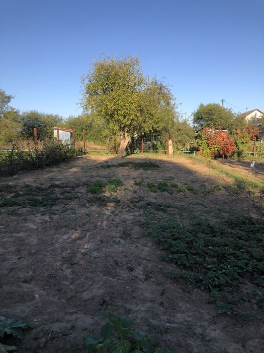 Продам дачну ділянку