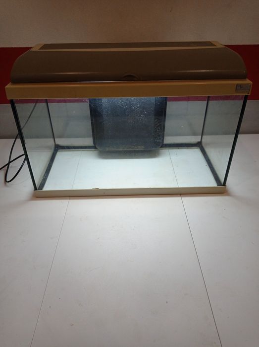 aquário para peixes