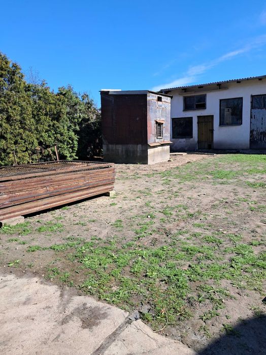 Gołębnik oddam za darmo