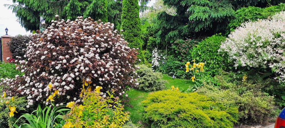 Dom, budynki gospodatcze plus ogród