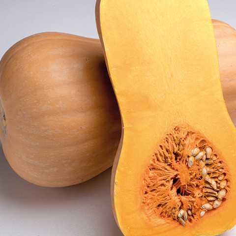 Насіння Гарбуза МАТИЛЬДА F1 500шт MATILDA Семена Тыквы