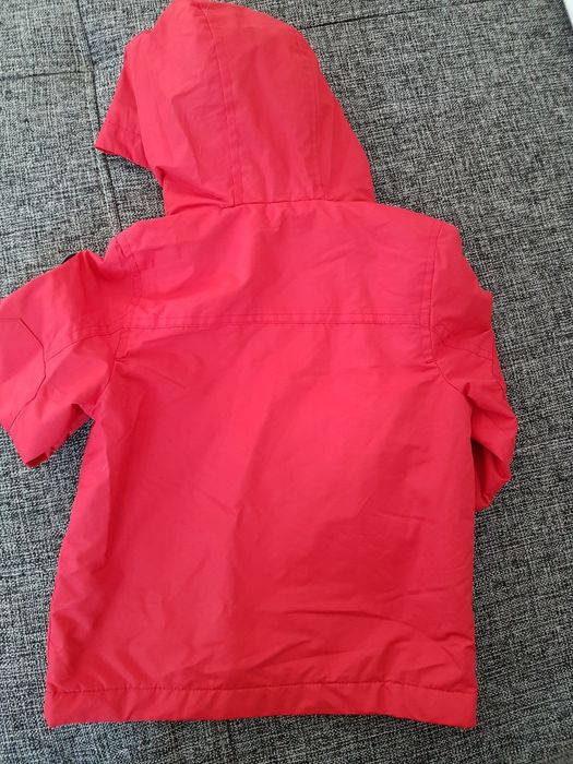 Kurteczka 18-24 m