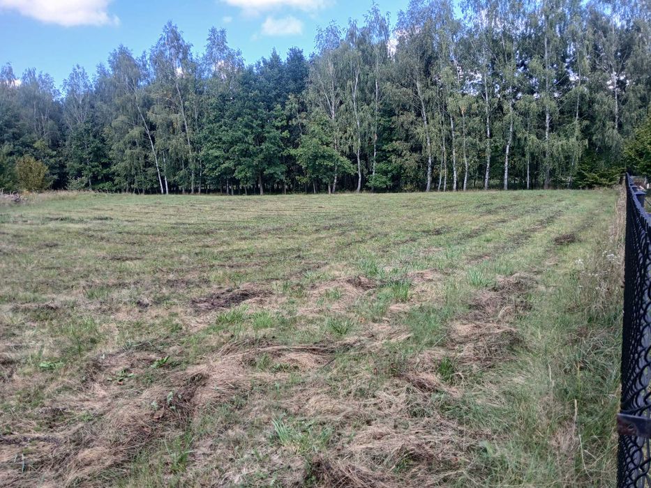 Działka budowlana Wołkowiany gm. Żmudź 21,5 ara