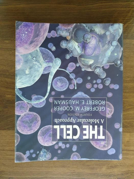 The cell - a molecular approach