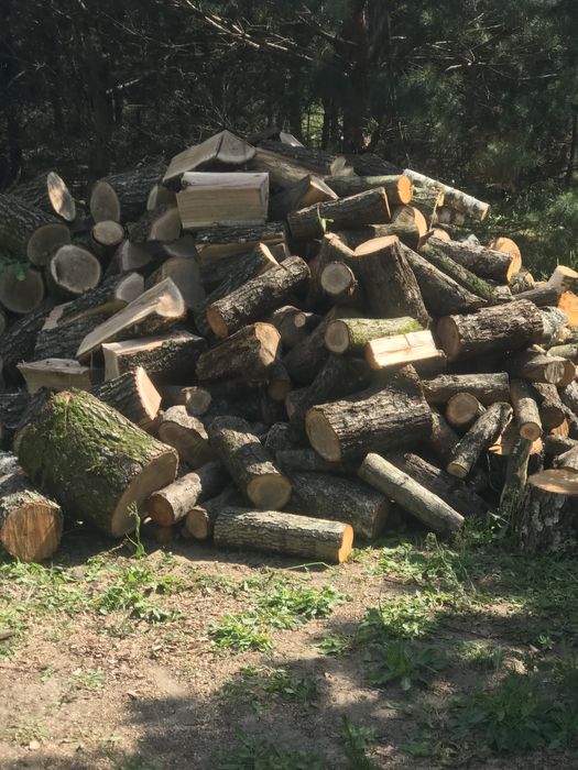Продам дрова різних порід на ваш вибір рубані чурками
