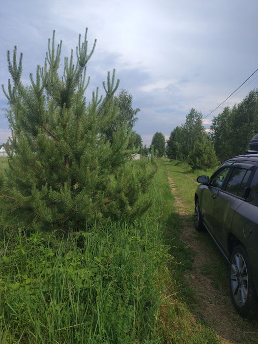Продам 10 соток ДК Родзинка.