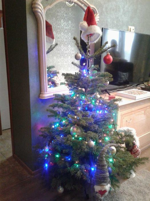 Кадор.Генератор-всегда вода, теплоснабжение.Элитный, новый ЖК.Животные-доплата
