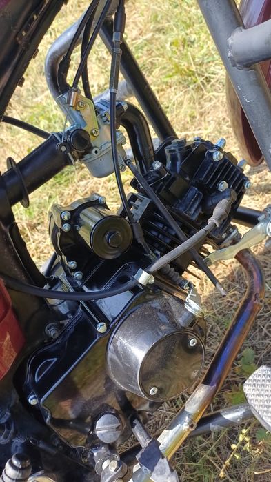 Мустанг Альфа 125