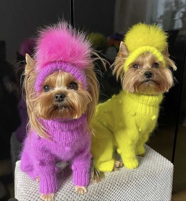 пухові светри для собак