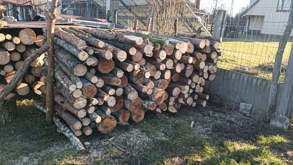 Drewno opałowe sosna, świerk, brzoza